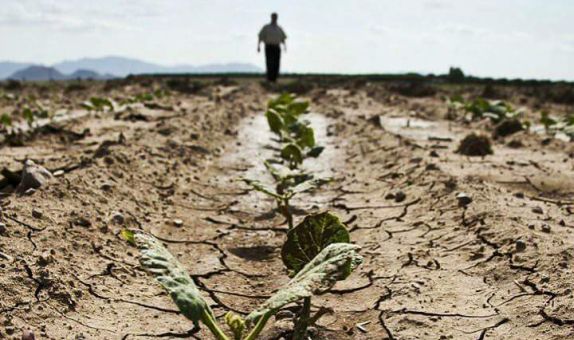 Temiz Su Kaynağının Yüzde 73'ü Tarımsal Üretimde Kullanılıyor Temiz Su Kaynağının Yüzde 73'ü Tarımsal Üretimde Kullanılıyor