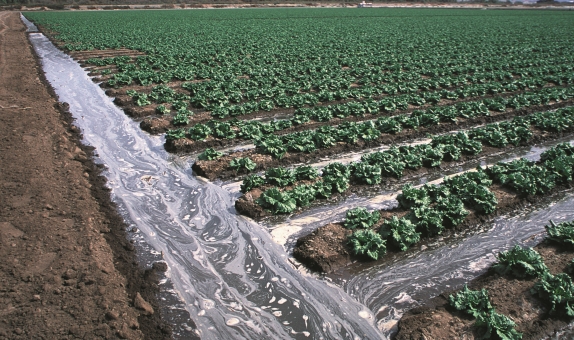 Tarımda Su Kullanımı ve Kaynakların Verimliliği (2. Bölüm) Tarımda Su Kullanımı ve Kaynakların Verimliliği (2. Bölüm)