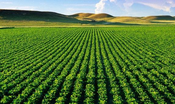 Agroekoloji Nedir, Neden Önemlidir?