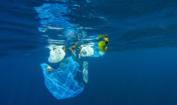 Türkiye'de Plastik Atık Sorunu ve Politika Önerileri Türkiye'de Plastik Atık Sorunu ve Politika Önerileri