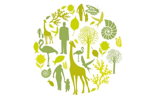 Avrupa Birliği Biyoçeşitlilik Stratejisi