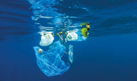 Denizlerdeki Plastik Kirliliğinin Denizel Türler, Biyoçeşitlilik ve Ekosistemler Üzerindeki Etkileri Denizlerdeki Plastik Kirliliğinin Denizel Türler, Biyoçeşitlilik ve Ekosistemler Üzerindeki Etkileri