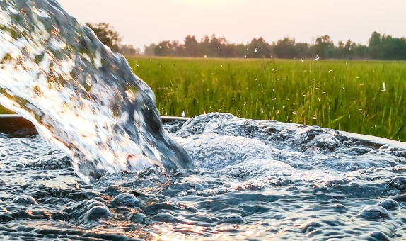 Görünmeyeni Görmek: Suyun Değeri