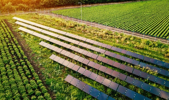 Wilo'ya Ege Orman Vakfı'ndan Gold Standart VER Sertifikası