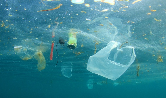 Okyanusların Tabanında 14 Milyon Tondan Fazla Mikroplastik Birikti Okyanusların Tabanında 14 Milyon Tondan Fazla Mikroplastik Birikti