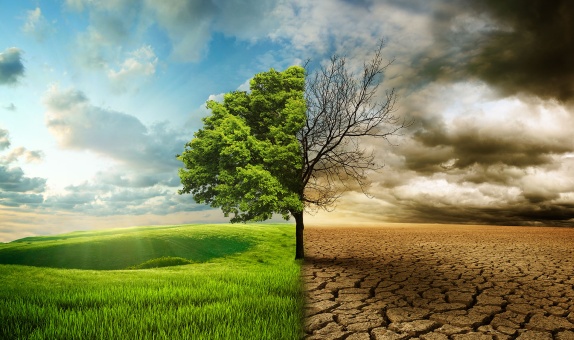 Doğa Krizinin 5 Temel İtici Gücü