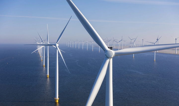 Açık Deniz Rüzgar Çiftlikleri ve Deniz Yaşamı