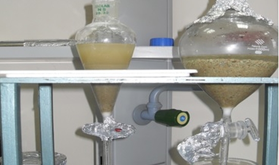 Atık Sularda Azot Gideren Prosesler Atık Sularda Azot Gideren Prosesler