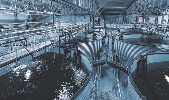 Balık İşleme Endüstrisi Atık Su Arıtma Tesislerinde İş Sağlığı ve Güvenliği Balık İşleme Endüstrisi Atık Su Arıtma Tesislerinde İş Sağlığı ve Güvenliği