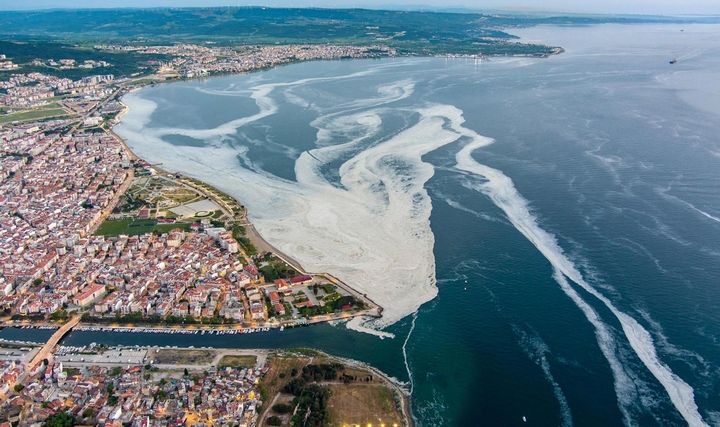 Marmara Denizi'nde Deniz Taşımacılığında Müsilaj Tehlikesi class=
