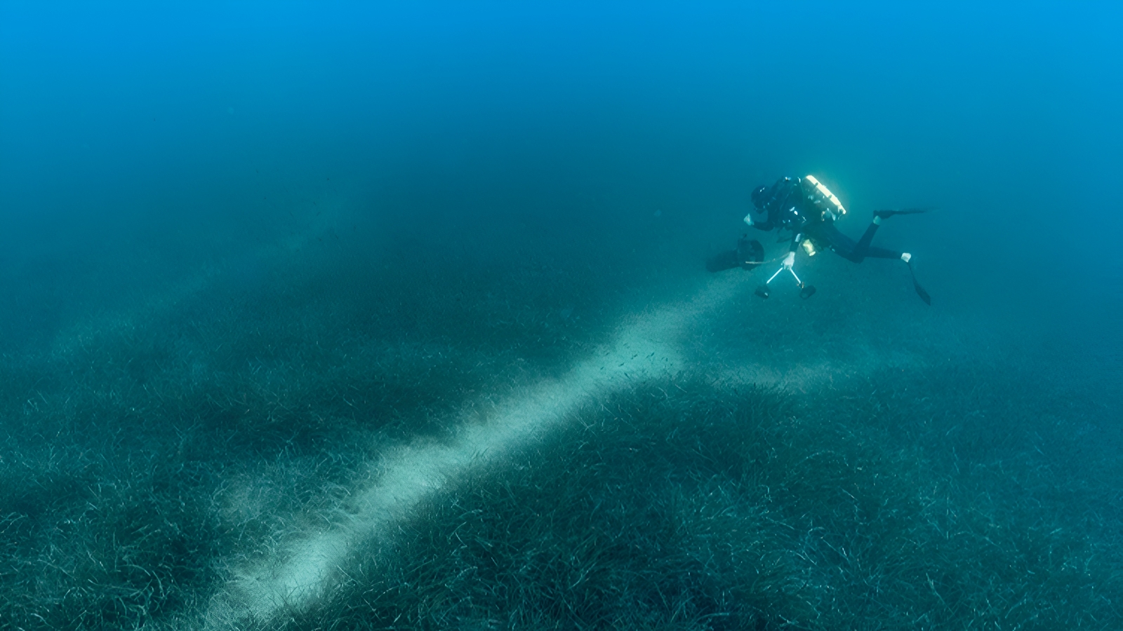 Akdeniz'in Deniz Çayırı Mavi Ormanlarını Demirleme Etkilerinden Korumak