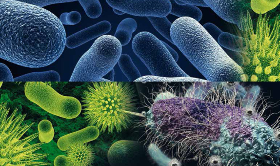 Çevre Sorunlarının Çözümünde Yer Alan Mikroorganizmalar