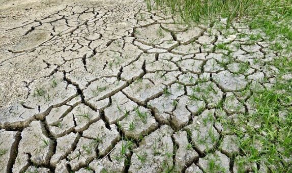 "İklim Değişikliği Uyum Eyleminin Güçlendirilmesi Projesi"nde Başvuru Süresi Uzatıldı