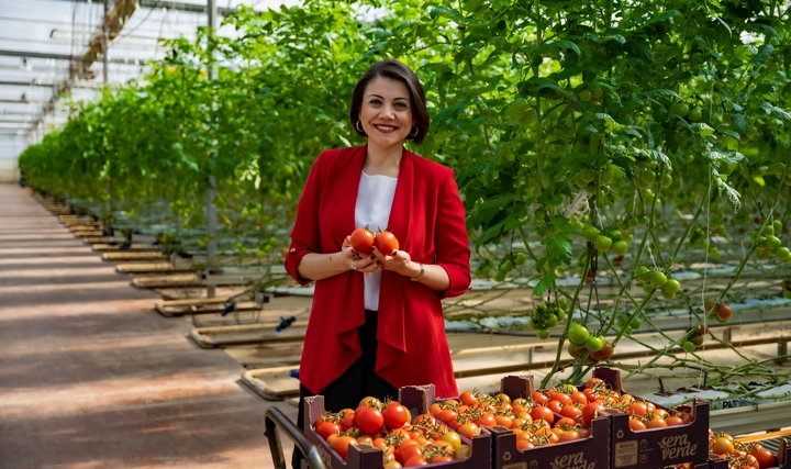 Alsera'nın Teknolojik Seralarında % 72 Su Tasarrufuna Ulaşıldı Alsera'nın Teknolojik Seralarında % 72 Su Tasarrufuna Ulaşıldı