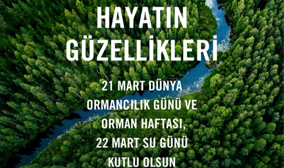 Bize Hayat Veren Ormanları ve Suyu Yaşatalım Bize Hayat Veren Ormanları ve Suyu Yaşatalım