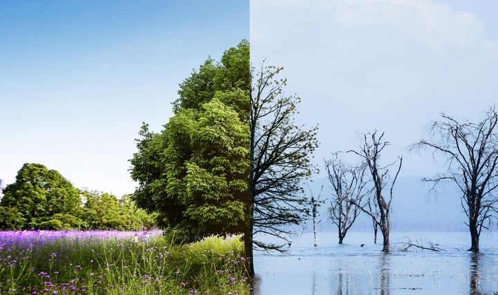 Çevre Bakanlığı, İklim Değişikliği ile Mücadele için Yeni Stratejilerini Belirledi