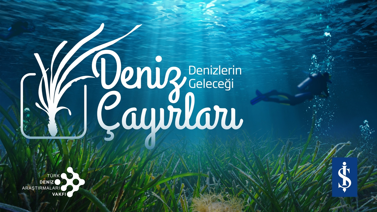 Denizlerin Akciğerleri Çökme Tehlikesiyle Karşı Karşıya