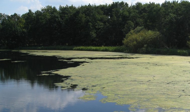 Doğal Bakteriyel Çözümlerle Su ve Toprak Geri Kazanımı Doğal Bakteriyel Çözümlerle Su ve Toprak Geri Kazanımı