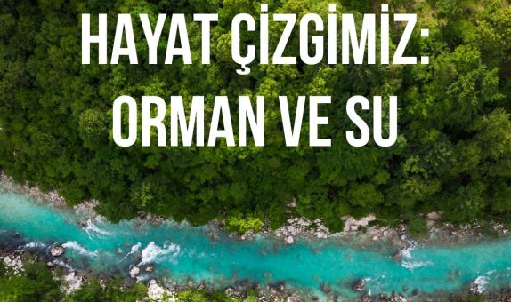 Hayat Çizgimiz: Orman ve Su Hayat Çizgimiz: Orman ve Su