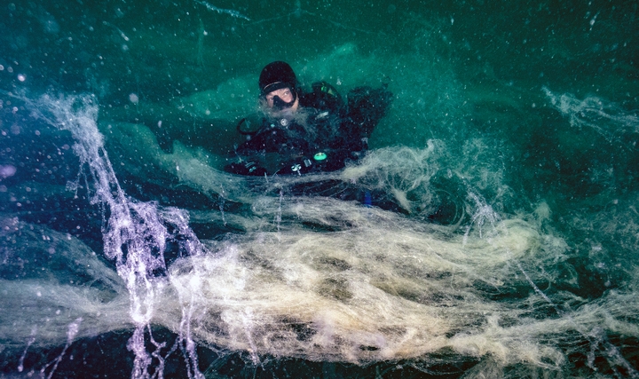 WWF Türkiye'den Marmara'daki Müsilaj Kabusu için Çağrı: "Acil eylem, planlarda kalmasın" WWF Türkiye'den Marmara'daki Müsilaj Kabusu için Çağrı: "Acil eylem, planlarda kalmasın"