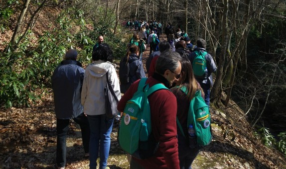 Wilo Su için Yürüdü