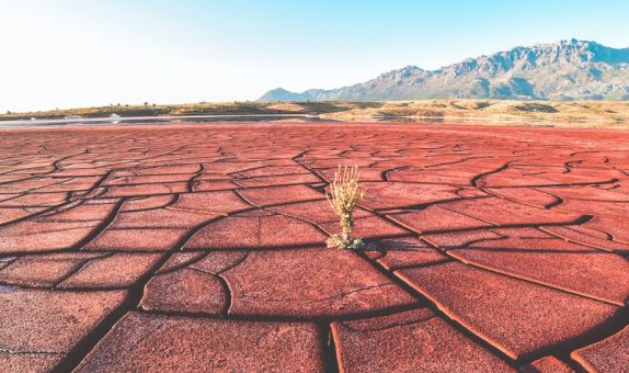 "Suyu Nadir Kaynaklardan Biri Olarak Görmeye Başlamalıyız"