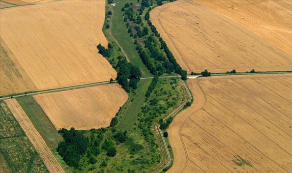 22 İlde Ekolojik Koridor Oluşturulacak