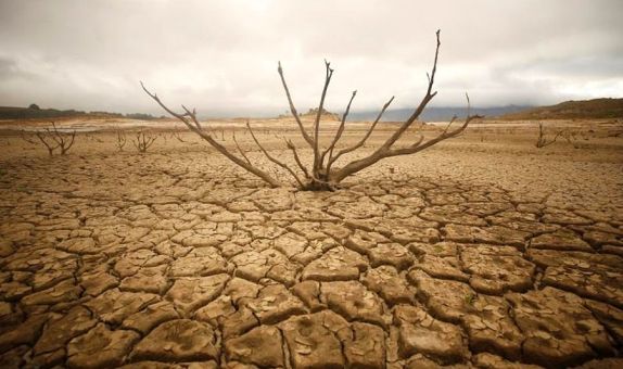 Dünyamızdaki Gerçek Tehlike: Su Kıtlığı Dünyamızdaki Gerçek Tehlike: Su Kıtlığı