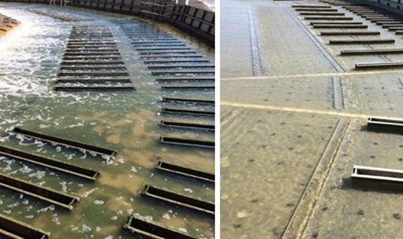 E.C.O. Film İleri Karboksilat Oksit Teknolojisi