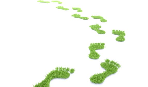 Karbon Ayak İzinin Küçültülmesi için Belediyelerde Alınabilecek Temel Önlemler Karbon Ayak İzinin Küçültülmesi için Belediyelerde Alınabilecek Temel Önlemler