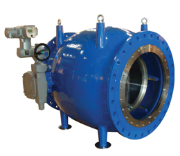 Doğuş İğneli Vanaları