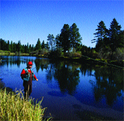 Kontrolü Yönetmeliği