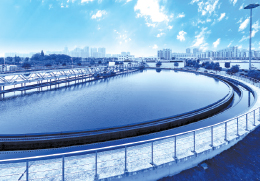 Tesis Yerleşimi ve Yardımcı Tesisler(*)