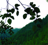 TMMOB Maden Mühendisleri Odası TMMOB Maden Mühendisleri Odası