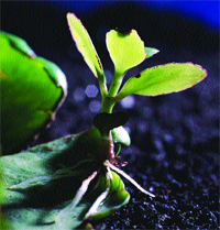 Neden 'Su ve Çevre Teknolojileri' dergisi? Neden 'Su ve Çevre Teknolojileri' dergisi?