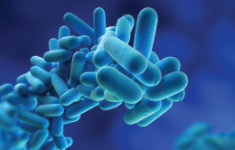 Klordioksit İle Efektif ve Güvenilir Dezenfeksiyon Klordioksit İle Efektif ve Güvenilir Dezenfeksiyon