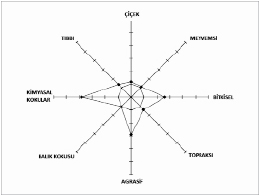 Koku Nedir?