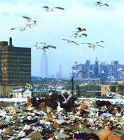 KATI ATIKLAR Yenilenebilir Hammadde ve Enerji Kaynağı KATI ATIKLAR Yenilenebilir Hammadde ve Enerji Kaynağı