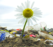 Bozcaada Sürdürülebilir Belde Olma Yolunda