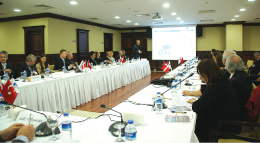 Danimarka Firmaları Türkiye Pazarına Girmeye Hazırlanıyor