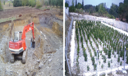 Bursa'dan Türkiye'ye Örnek Proje: Doğal Arıtma Bursa'dan Türkiye'ye Örnek Proje: Doğal Arıtma