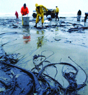 Avrupa Çevre Ajansının (EEA) on yıllık Avrupa Çevre Raporu