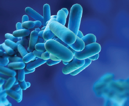 Dezenfeksiyon Uygulamalarında Gelişmiş Çözümler: Grundfos Oxiperm Pro