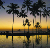 Dünyanın Gözü Kulağı Bali'deydi...