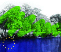 Eurobarometer'ın anketi: Avrupalılar Çevre Konusunu En Üst Sıraya Koydular...