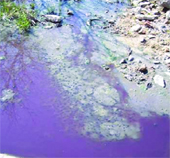 Ergene ve Meriç Nehirleri'nin Korunmasına Yönelik Bilgilendirme Çalışmaları