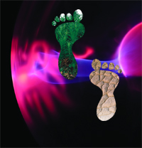 Ekolojik Ayak İzi Nedir? Ekolojik Ayak İzi Nedir?