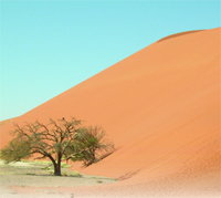 Dünya Çevre Günü 2006 Teması: Dünya Çevre Günü 2006 Teması: