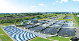 Genel Tanım ve Terimler