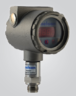 Enelsan Etrans-P Basınç Transmitteri